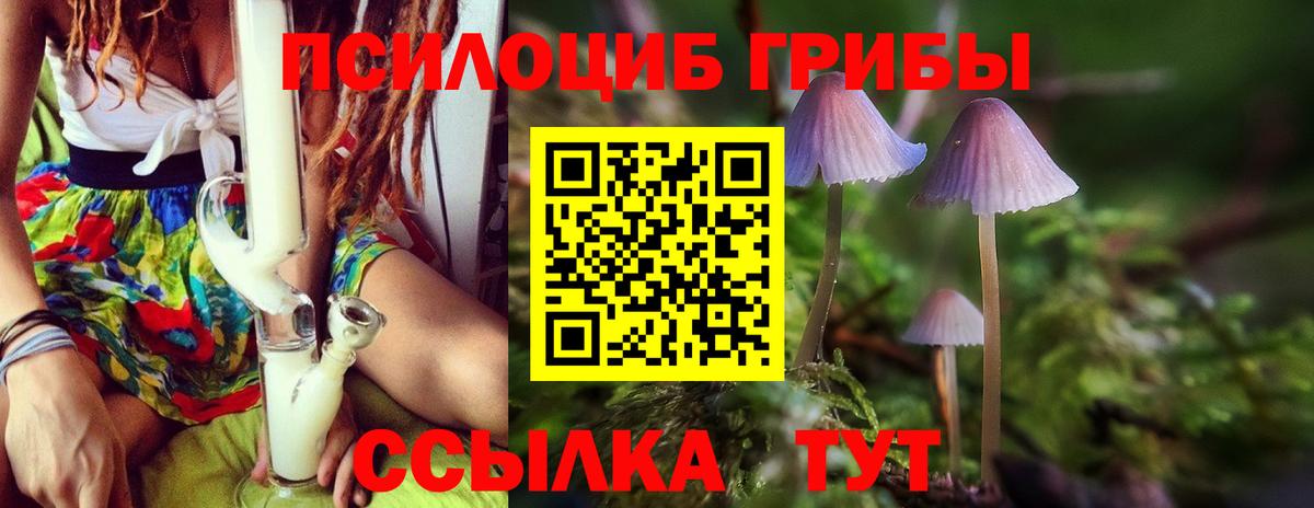 Псилоцибиновые грибы MAGIC MUSHROOMS  Вход с VPN  Минеральные Воды 